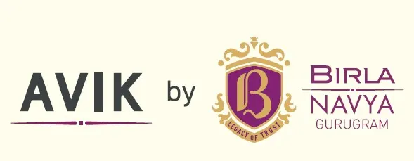 Developer