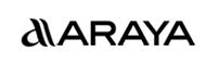 Developer