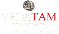 Developer